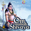 Om Namah Shivaya - Chill Lounge
