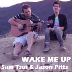 Sam Tsui & Jason Pitts - Wake Me Up (Cover)