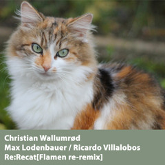 Christian Wallumrød/Max Lodenbauer/Ricardo Villalobos - ReRecat[Flamen Reremix] FREE DOWNLOAD