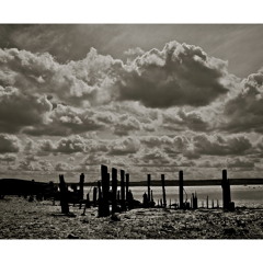 Public Record Estuary - Brought Up By The Trawl