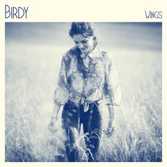 Wings - Birdy (Cover)
