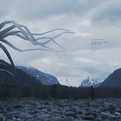 Super Tropic Tramp (+ Vimeo Staff Pick Videoclip)