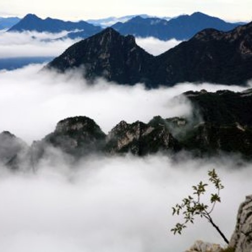 Find Your Purpose - Visioning Exercise