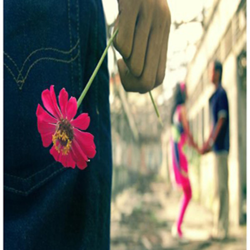 اه من المكتوب  تامر عاشور