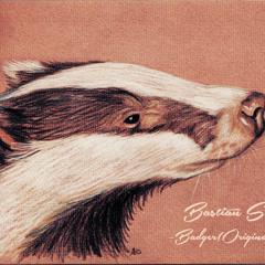 Bastian South - Badger (Original Mix)FREE DOWNLOAD!