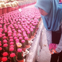 Titanic Piano Cover By Ayu Aishah