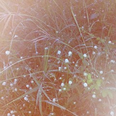 The uncertainty of it all (idea)