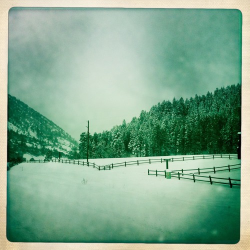 Free Fallin'/Say (Tom Petty and John Mayer Cover)