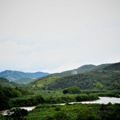 Brazil - Bird calls, Ribeira Valley, Sao Paulo