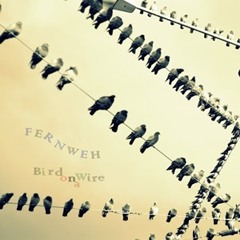 FernWeh - Bird On A Wire