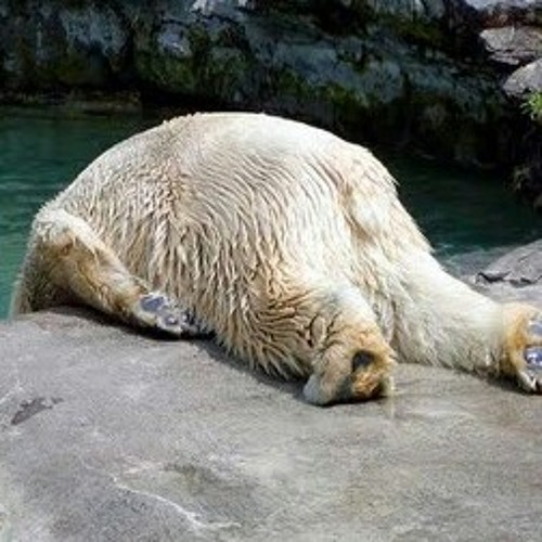 All They Ever Want - RichRoll Ft. Prince K (Prod. by Hollywood Legend)