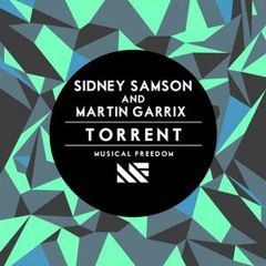 Sidney Samson and Martix Garrix - Torrent (Electronic Vibes Edit)