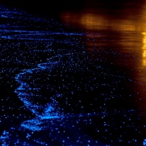 Deep Traxx 2020__compiled by cgroove!__pt.2_