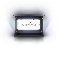 Бурито-Моя революция