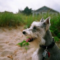 Doc's Ringtone_android