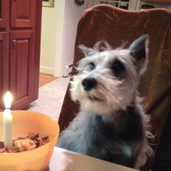 Doc's Ringtone_iPhone