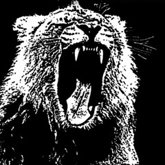 Where The Fucking Trapnimals? ("Animals" Trap Remix)