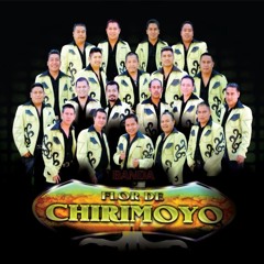 Banda Flor De Chirimoyo