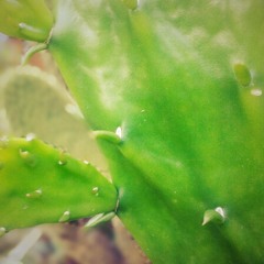 Viva Jujuy- JotaEme (Guitarra Clásica)