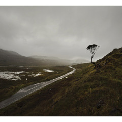 Still Loving the Grey (Nov. 2013)