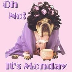 MONDAY ALREADY