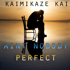 Ain't Nobody Perfect 2.mp3