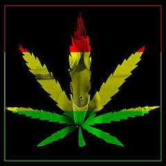 Reggae B2ms