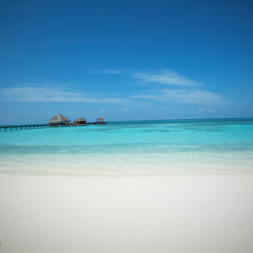 Scott and Brendo - Synthia [EXTENDED]