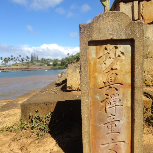 Stream Ghost Towns (First Aid Kit cover) by Elephant Cactus Listen online for free on SoundCloud