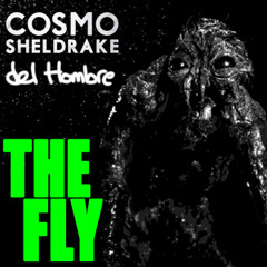 The Fly (prod. Cosmo Sheldrake)