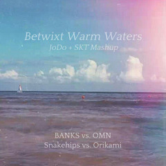 BANKS vs. OMN - Betwixt Warm Waters (JoDo + SKT Mashup)
