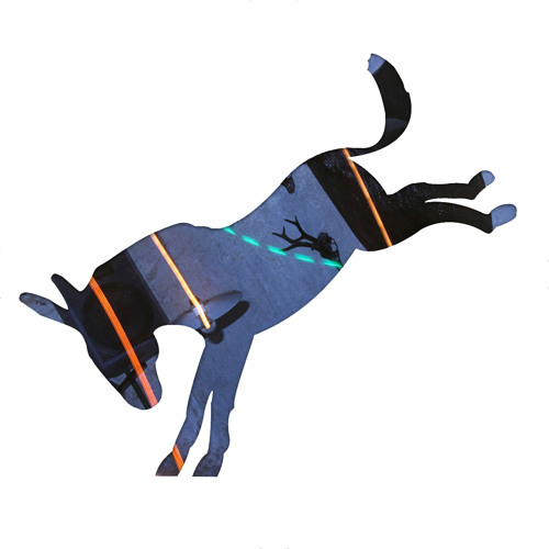 Ghost Mutt - 33 10