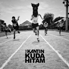 KUDA HITAM