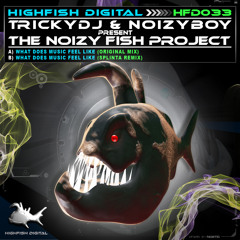 Noizy Fish Project - What Does Music Feel Like (Splinta Remix) [HFD033]