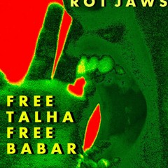 Free Talha, Free Babar