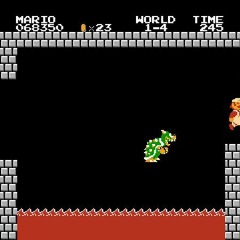 I JUST BEAT BOWSER!!!