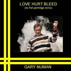 Love Hurt Bleed (paul berry no fret Partridge Remix)