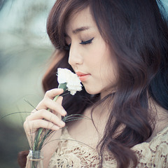 Ngày gió ngừng trôi - Bích Phương