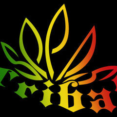 Tribal Seeds - All I Know