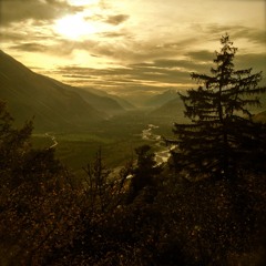 Im Tal Der Eulen