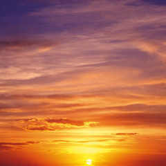 "Nicht dieses - sondern jenes"