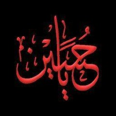 Mulla Bassim - ملا باسم الكربلائي - يا شاطي الموت حاجيني.FLV