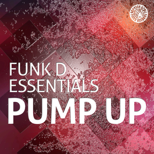 Funk D & Essentials - Pump Up (Original Mix)