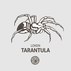 Loken - Tarantula (Original Mix)