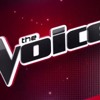Will Champlin - Demons The Voice USA 2013 - Live Top 12