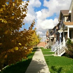 The Precise Sound of Walking on Fallen Leaves