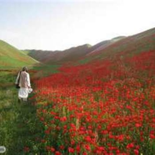 بیا که بریم به مزار ملا ممد جان؛ همخوانی با یک همسایه افغان