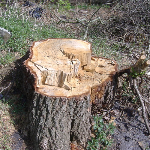 Brass Buttons (Gram Parsons Cover)