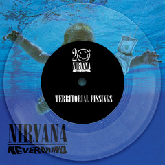 Nirvana- Territorial Pissing Guitar Cover