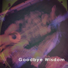 Goodbye Wisdom